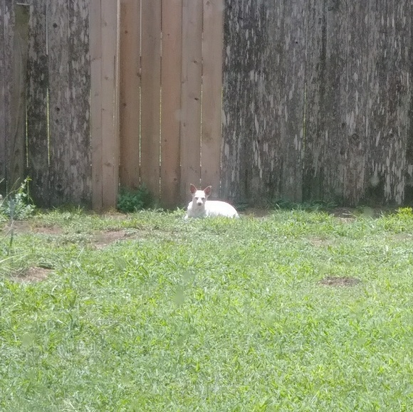 Meet your Posher, Corey - Picture 4 of 5